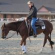 Ronov 2007